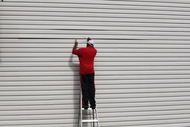 Best Siding Repair  in Brownville, NJ