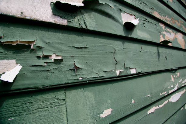 Best Siding Removal and Disposal  in Brownville, NJ