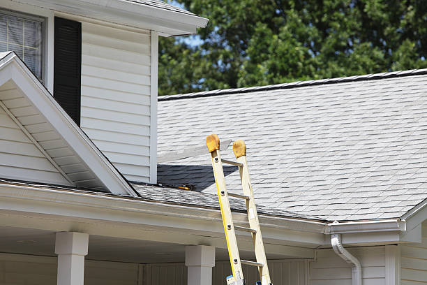 Best Custom Trim and Detailing for Siding  in Brownville, NJ