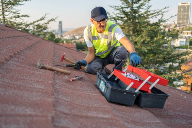 Best Stucco Siding  in Brownville, NJ