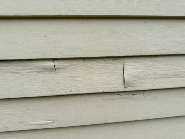 Best Siding Painting and Refinishing  in Brownville, NJ